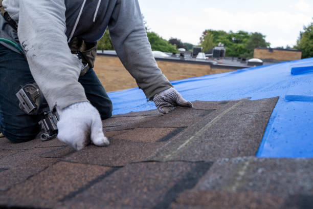 Best Local Roofing Companies  in Starbuck, MN