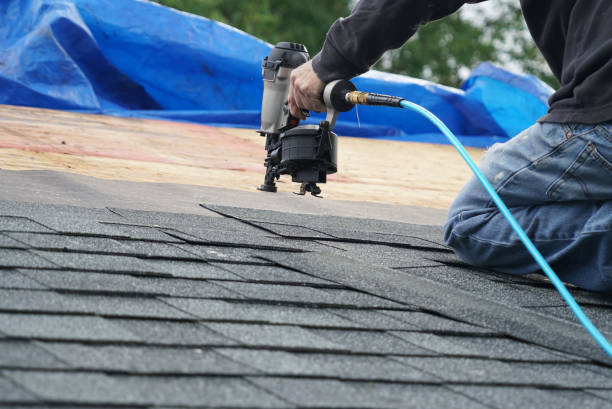 Best Roof Gutter Cleaning  in Starbuck, MN