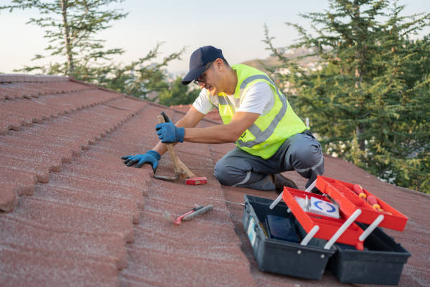 Trusted Starbuck, MN Roofing Contractor Experts